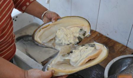 河蚌的做法与清洗视频,河蚌清洗与处理技巧全解析